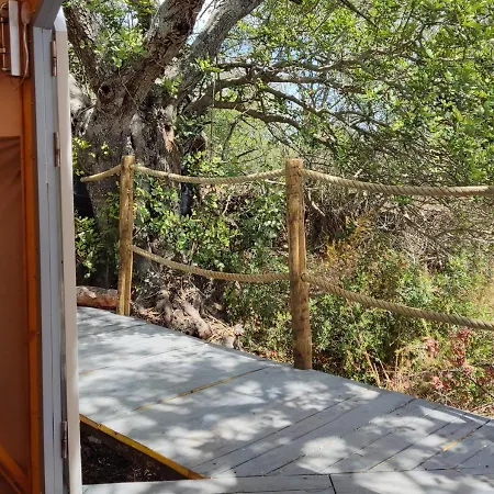 Luksustelt Algarveglamping São Bartolomeu de Messines